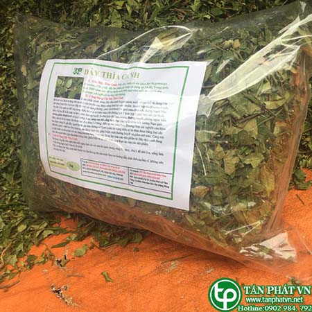 Cửa hàng bán dây thìa canh tại Nha Trang giao hàng nhanh