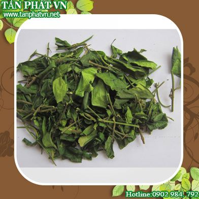 Cung cấp bán dây thìa canh tại Kon Tum giao hàng nhanh