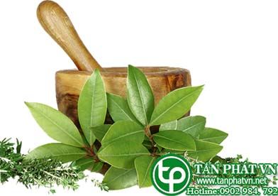 Cung cấp bán dây thìa canh tại Tân Phú uy tín