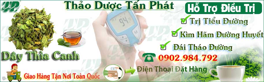 Dây Thìa Canh