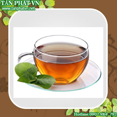 Địa chỉ mua bán dây thìa canh tại Khánh Hòa uy tín